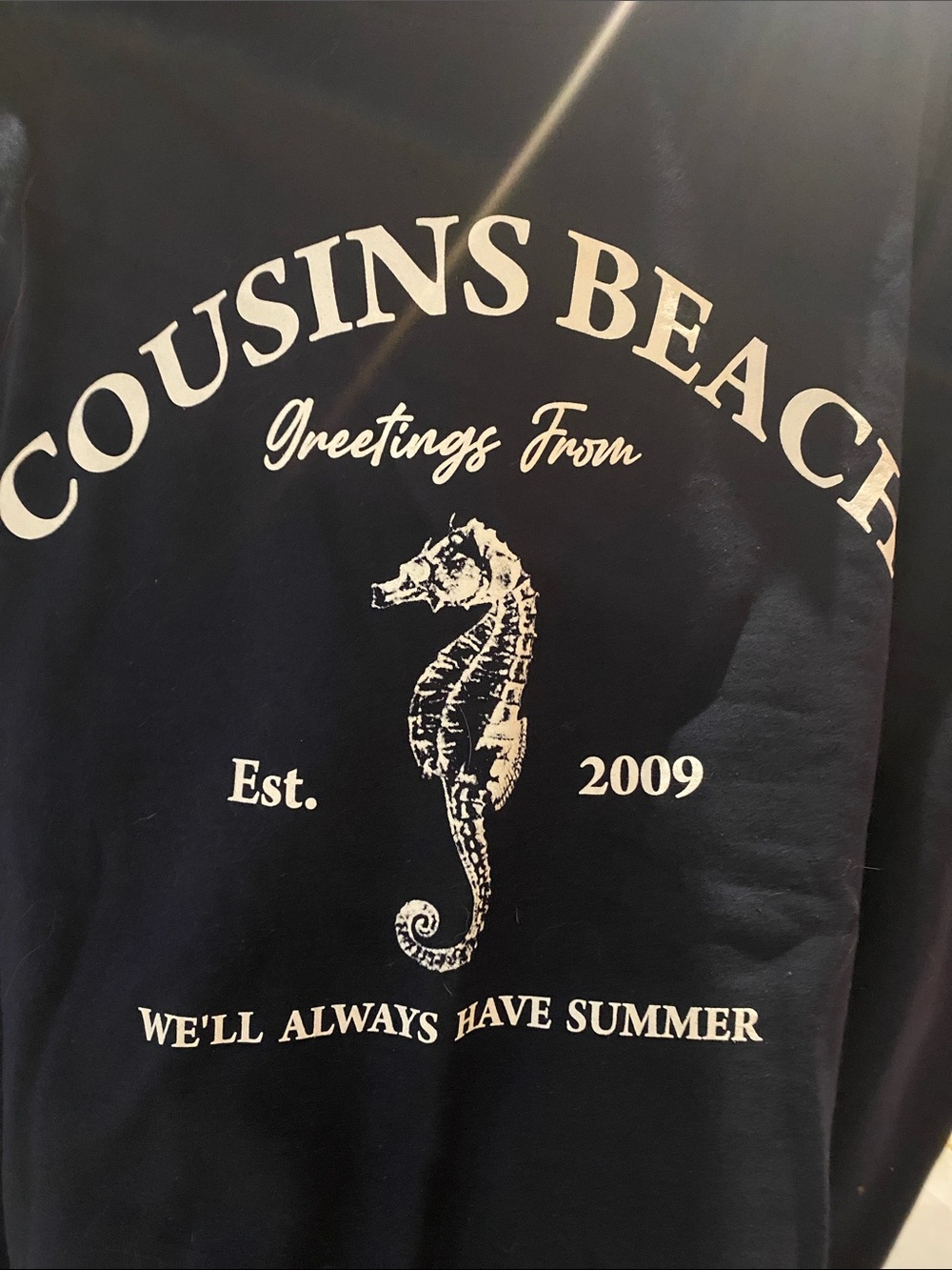 Arula Navy Cousins Beach Seahorse Graphic Crewneck Sweatshirt NWT 0X/1X. - Picture 3 of 6
